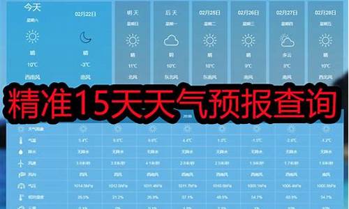 阜城天气预报15天的_阜城天气预报15天的天气