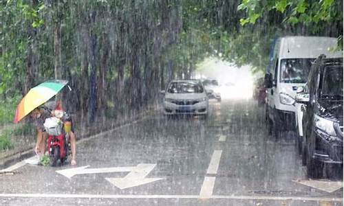 青岛天气暴雨_青岛天气暴雨预警